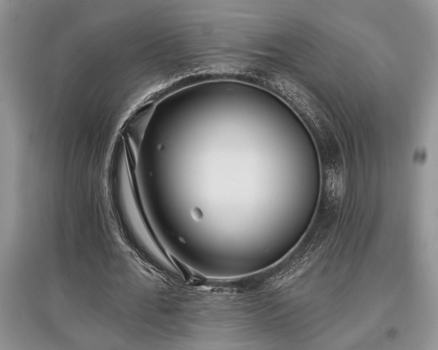 X0000097610676200803071450