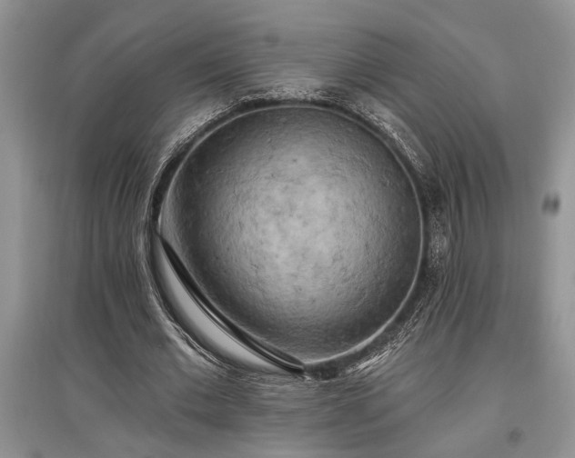 X0000097610677200803071450