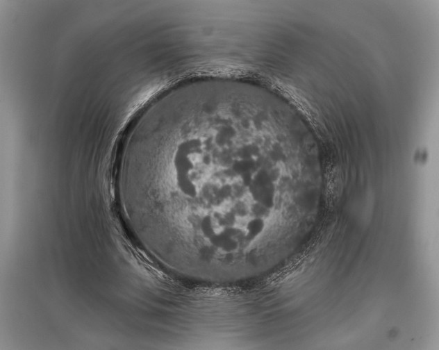 X0000097610679200803071450