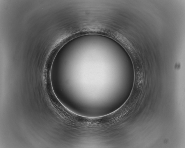 X0000097610680200803071450