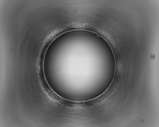X0000097610682200803071450