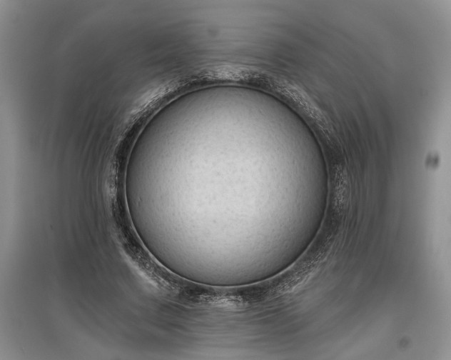 X0000097610683200803071450
