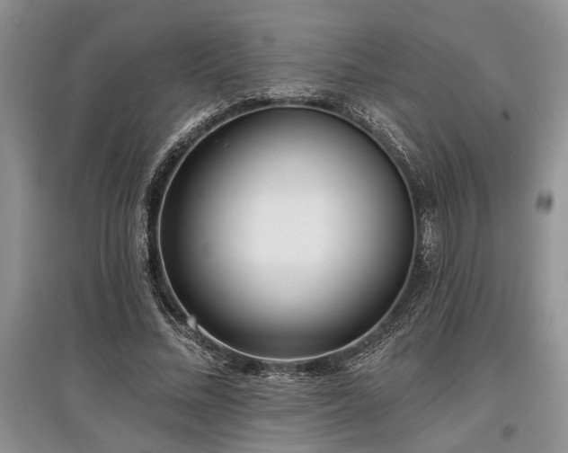 X0000097610684200803071450