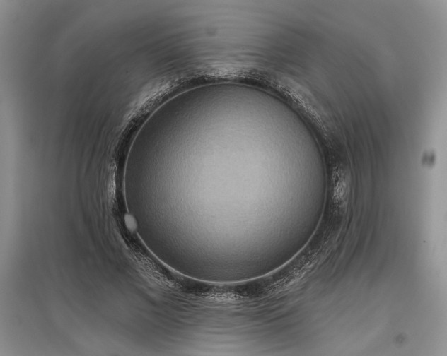 X0000097610685200803071450