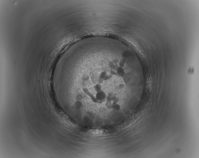 X0000097610687200803071450