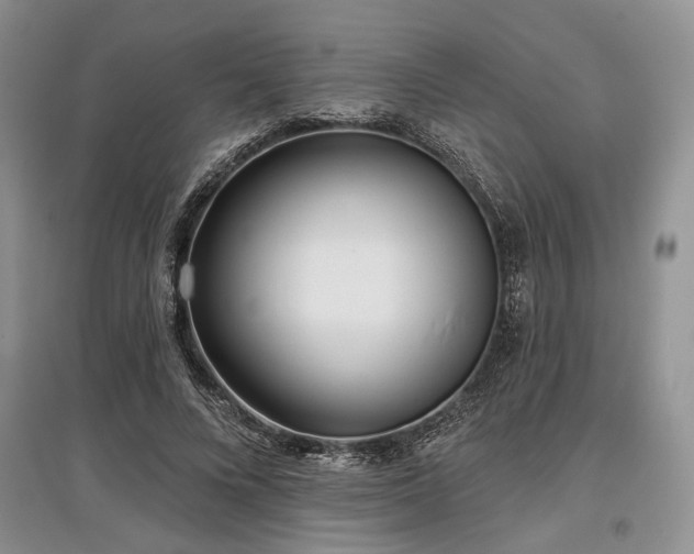 X0000097610688200803071450
