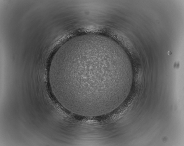 X0000097610689200803071450
