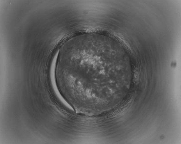 X0000097610691200803071450
