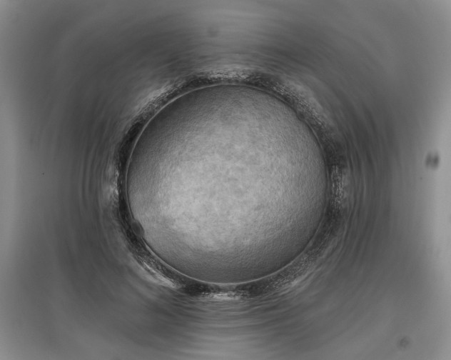 X0000097610692200803071450