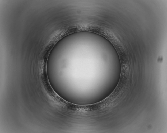 X0000097610694200803071450