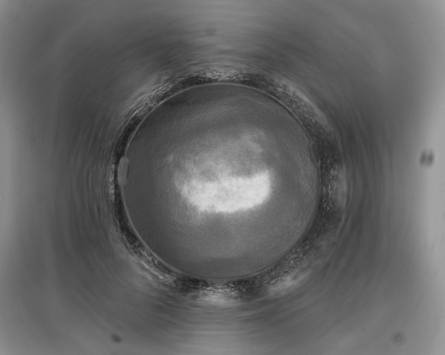 X0000097610696200803071450