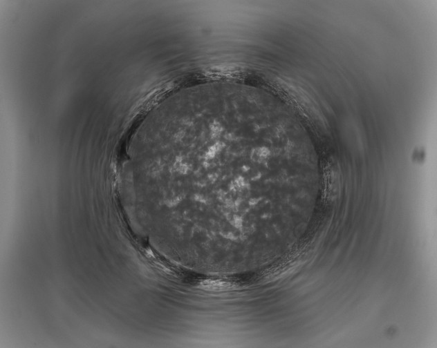 X0000097610699200803071450