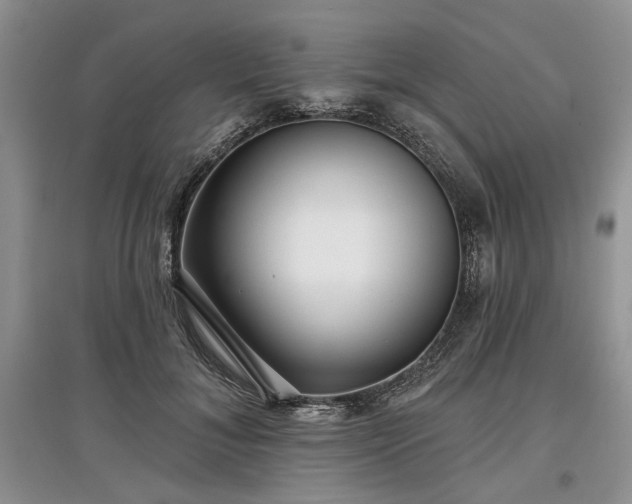 X0000097610700200803071450