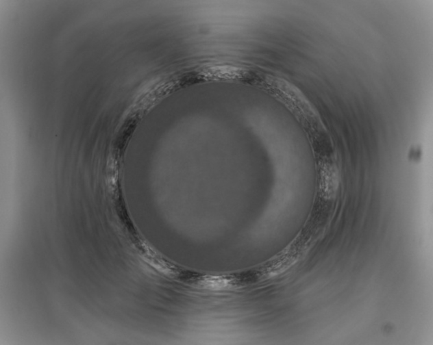 X0000097610701200803071450