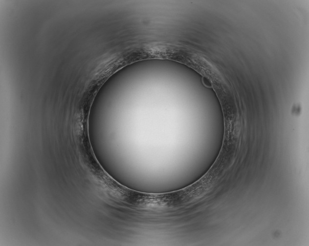 X0000097610702200803071450