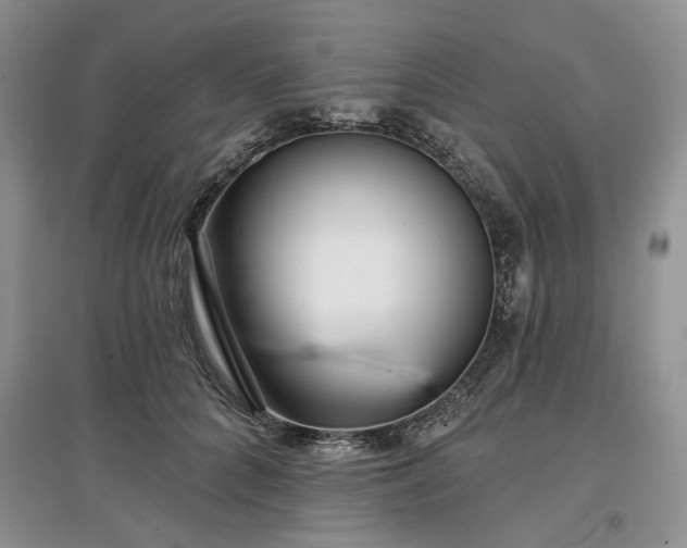 X0000097610704200803071450
