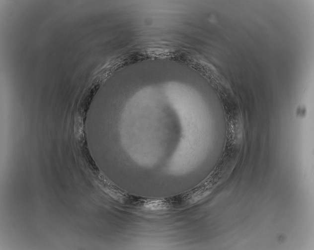 X0000097610705200803071450