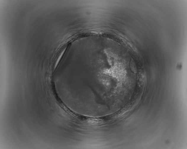 X0000097610707200803071450