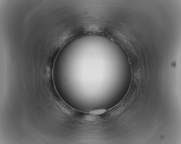 X0000097610708200803071449