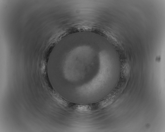X0000097610709200803071449