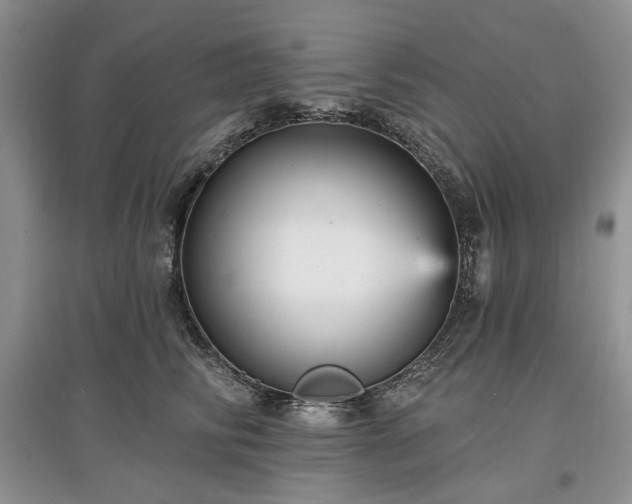 X0000097610710200803071449