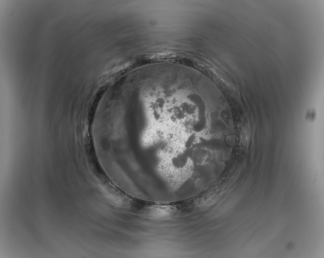 X0000097610711200803071449