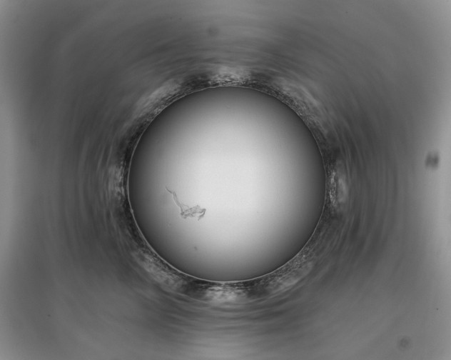X0000097610714200803071449