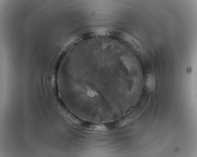 X0000097610715200803071449