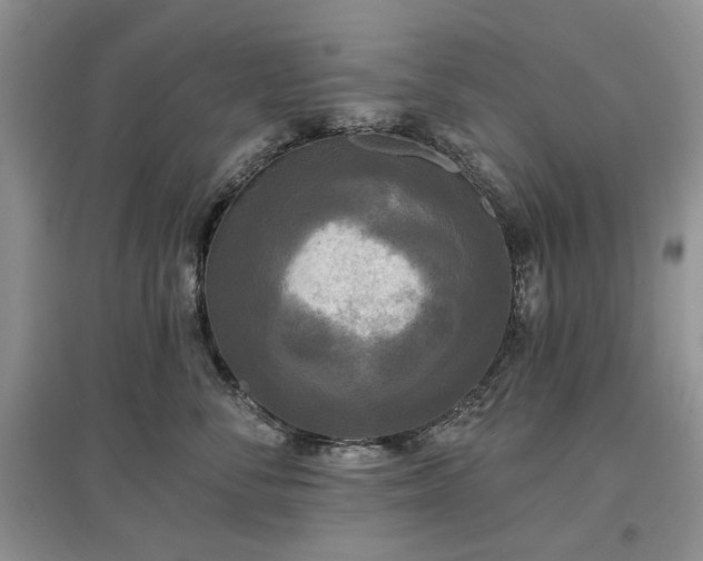X0000097610716200803071449
