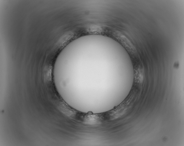 X0000097610717200803071449