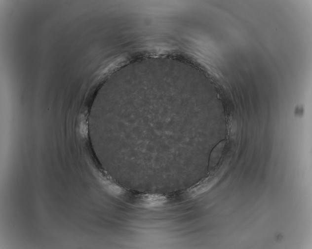 X0000097610719200803071449