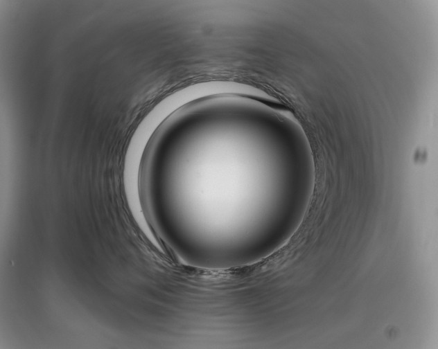 X0000097610720200803071449