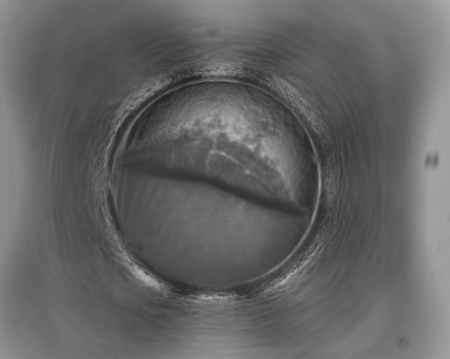 X0000097610721200803071449