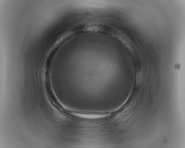 X0000097610722200803071449