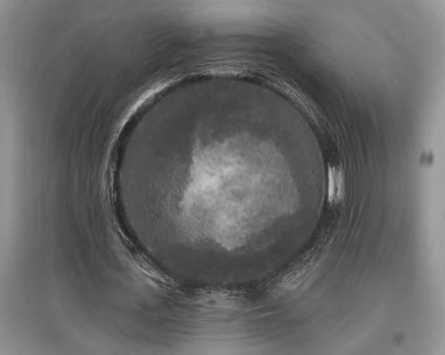 X0000097610723200803071449