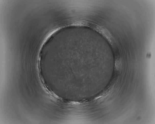 X0000097610724200803071449