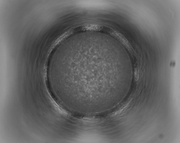 X0000097610725200803071449