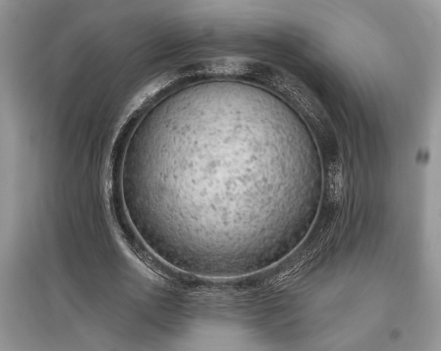 X0000097610726200803071449