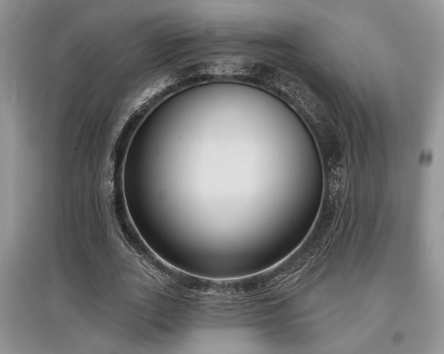 X0000097610727200803071449