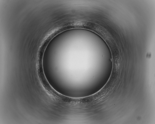 X0000097610728200803071449