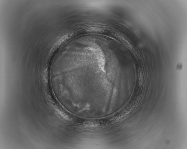 X0000097610729200803071449