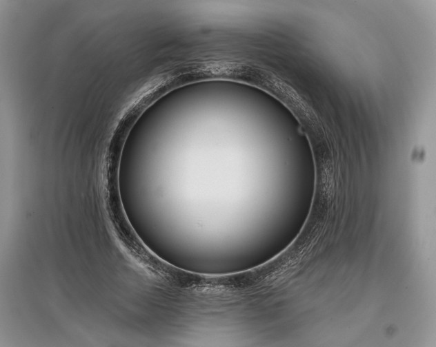 X0000097610730200803071449