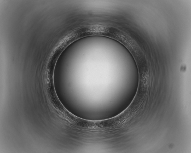 X0000097610731200803071449
