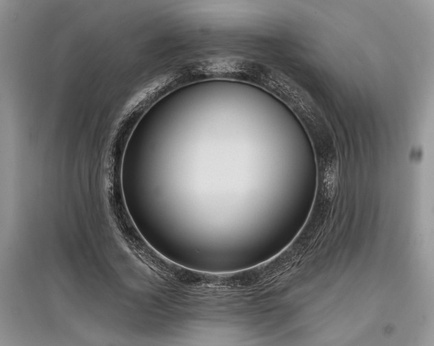 X0000097610732200803071449