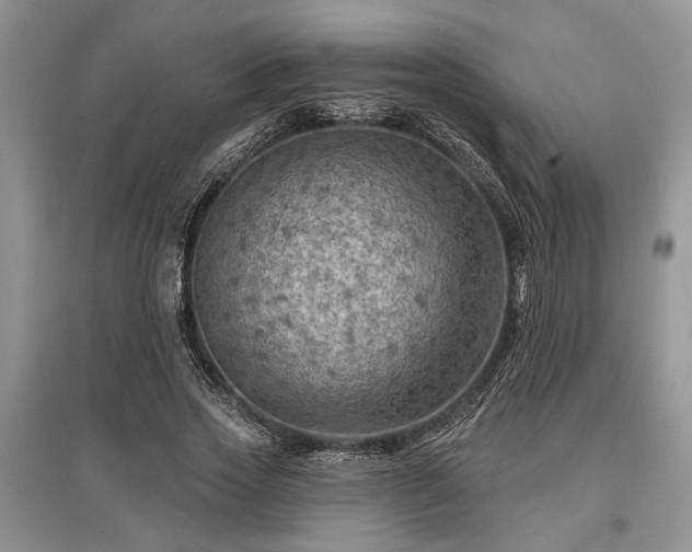 X0000097610733200803071449