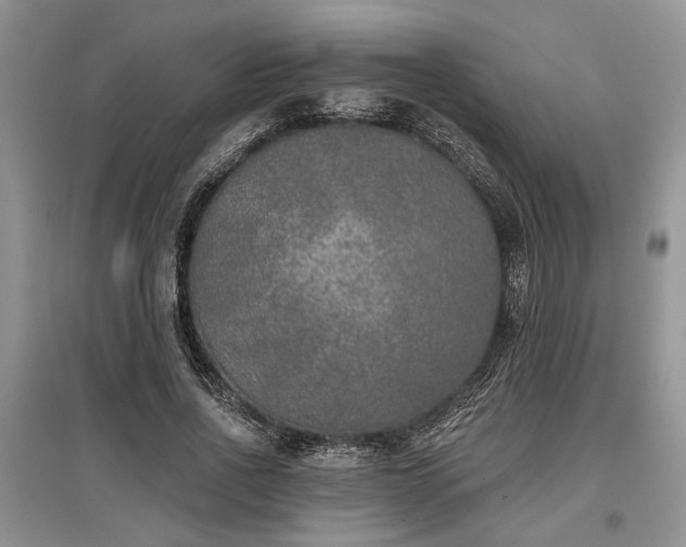 X0000097610734200803071449