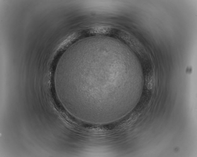 X0000097610735200803071449