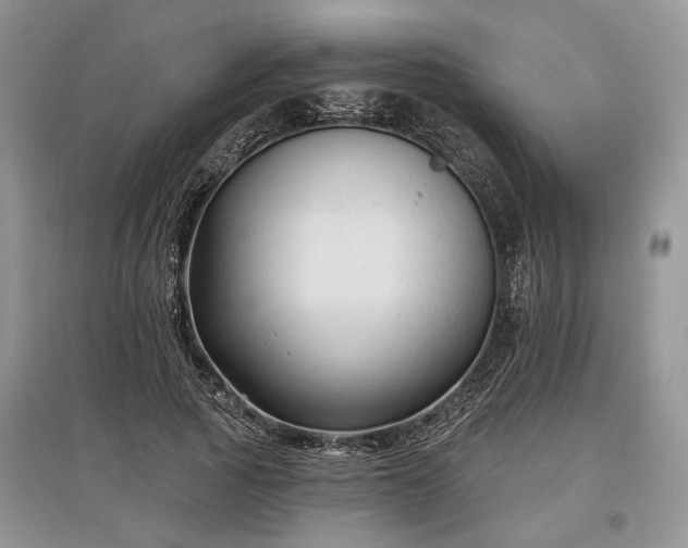 X0000097610737200803071449