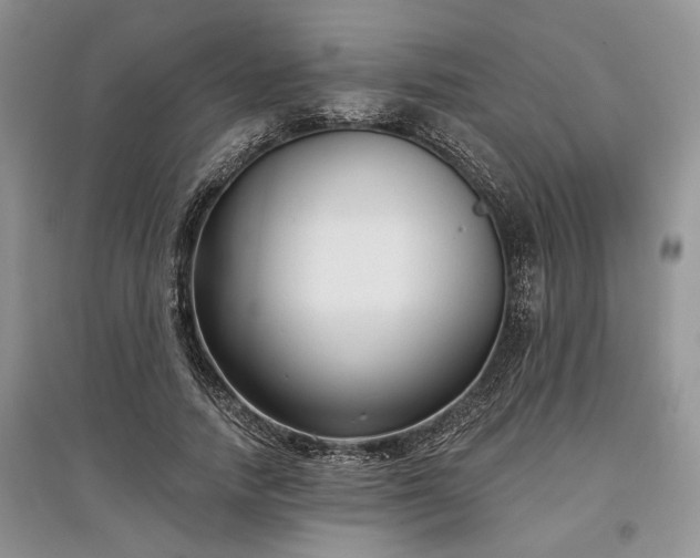 X0000097610738200803071449