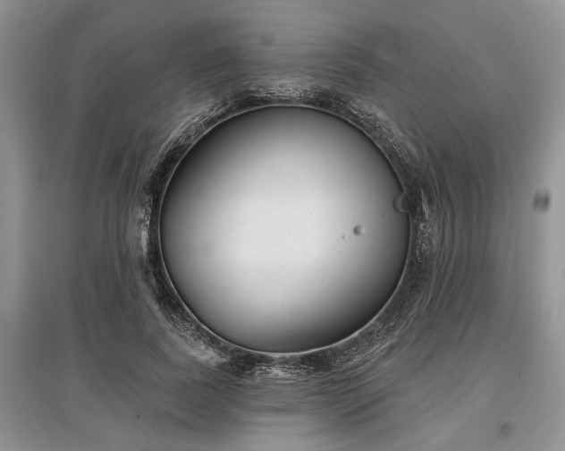X0000097610739200803071449